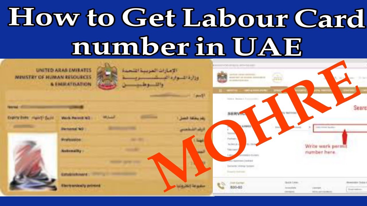 UAE Labour Card